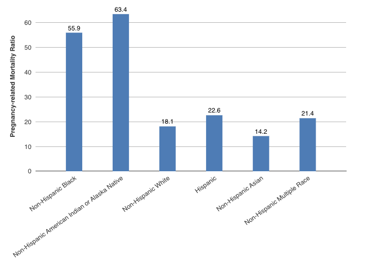 Bar graph showing rates of maternal mortality by race in the US.